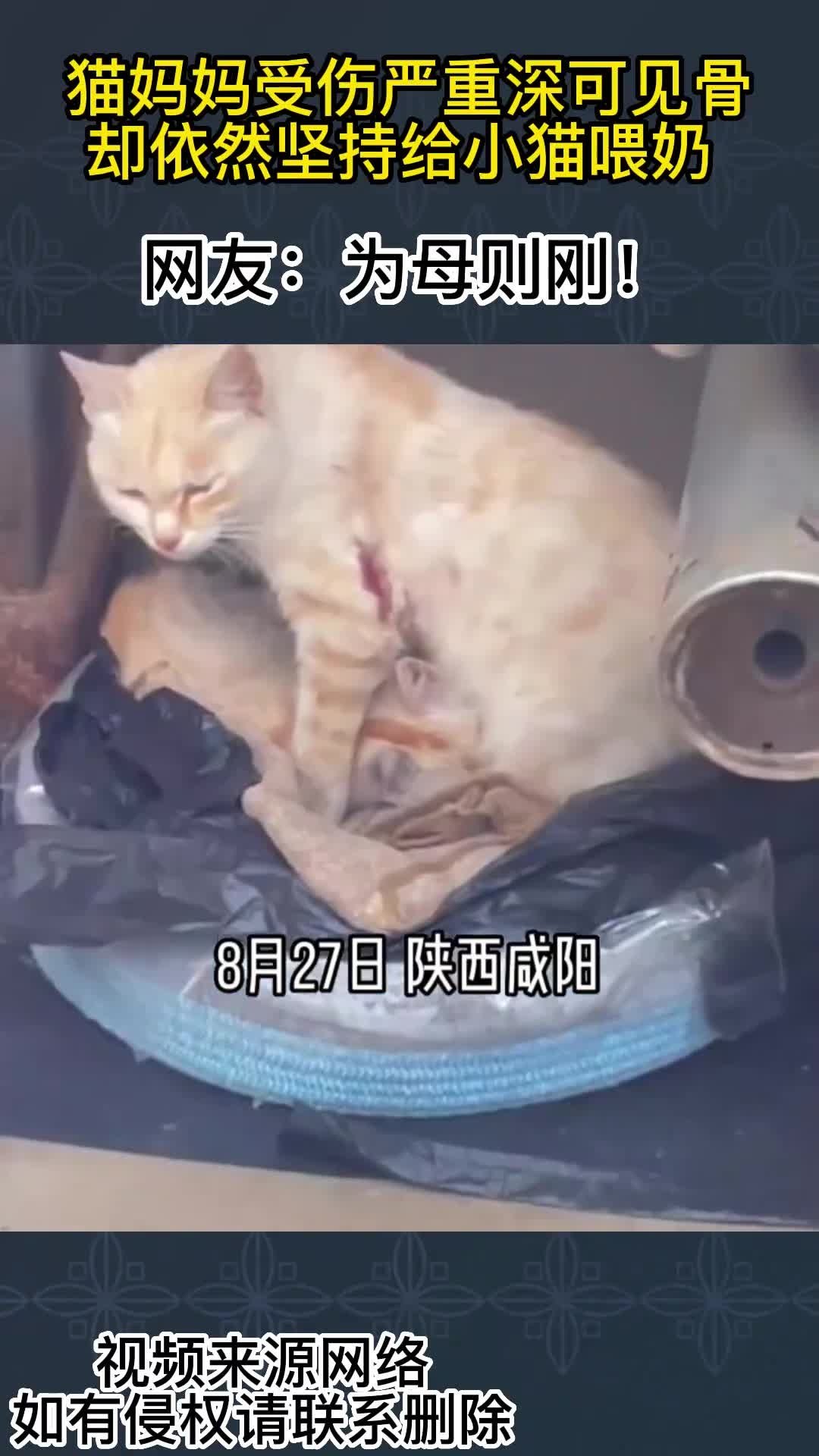 地方新闻 第350页