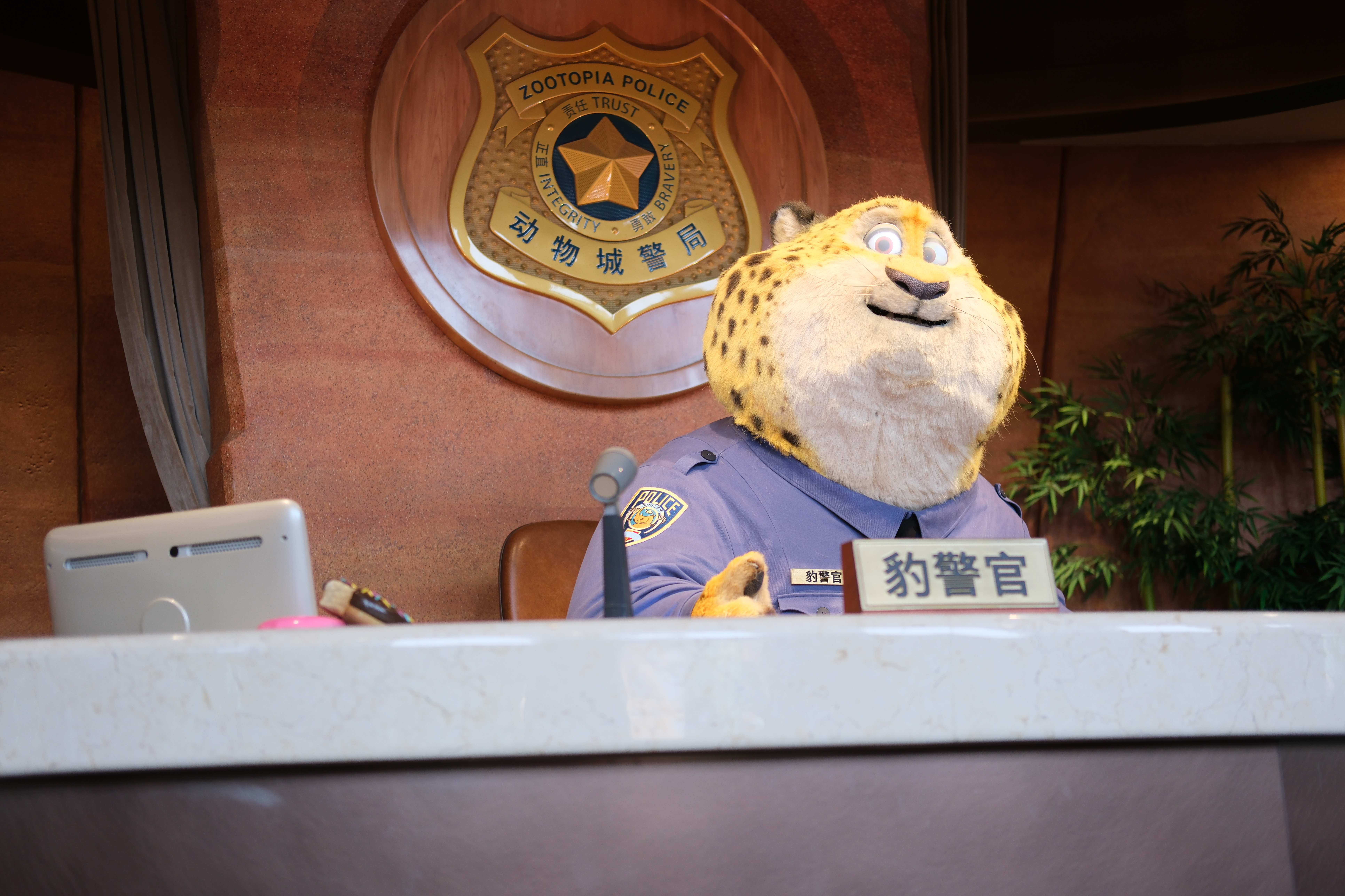 网红豹警官的新伙伴现象深度解析