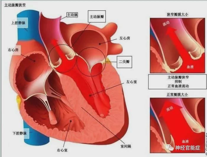 器官用久了真的会变脏吗？