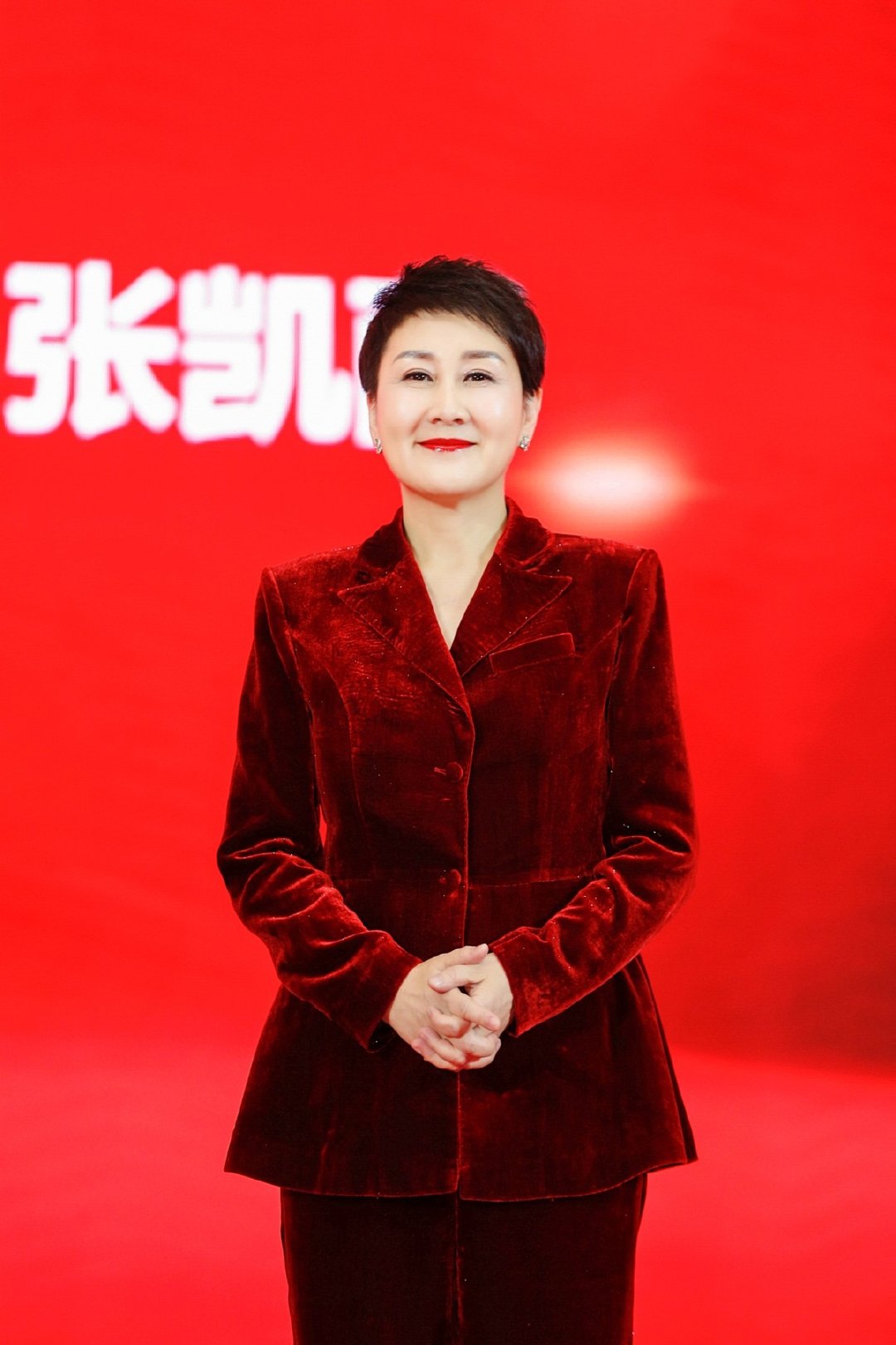 张凯丽建议调整票价，公众热议与未来展望