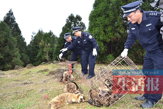 警惕未检疫禁食用狐貉肉流向多地，守护食品安全，人人有责