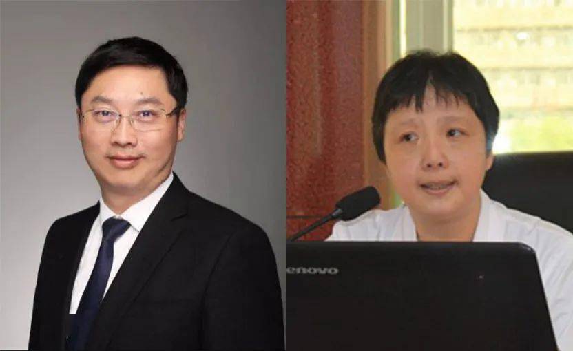 实拍啄木鸟公司被查现场，深度剖析事件始末