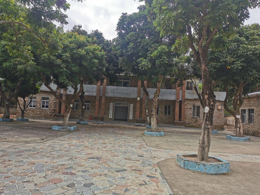 中南大学生呼吁取消3000米测试，重塑体育评价体系