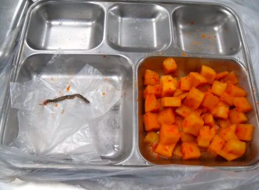 美国从韩国进口鸡蛋，全球化背景下的食品贸易新动态