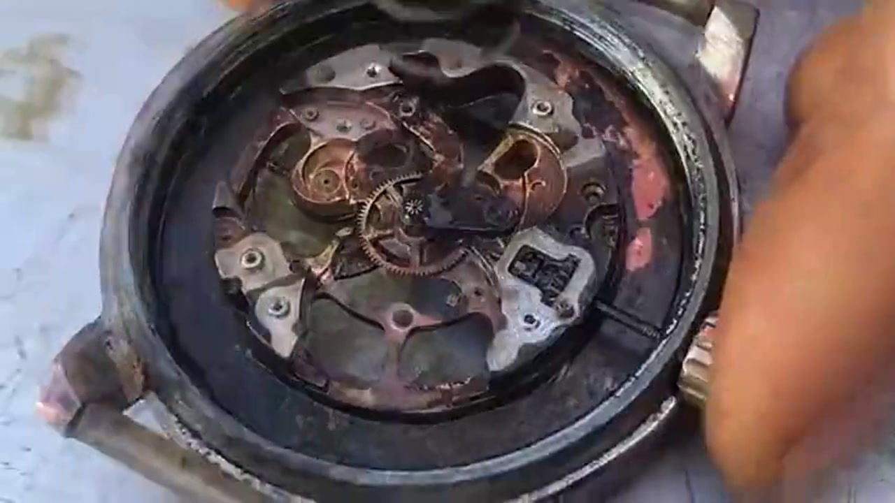 拾到手表能拿回家吗？解读拾金不昧与权益保障之间的微妙平衡