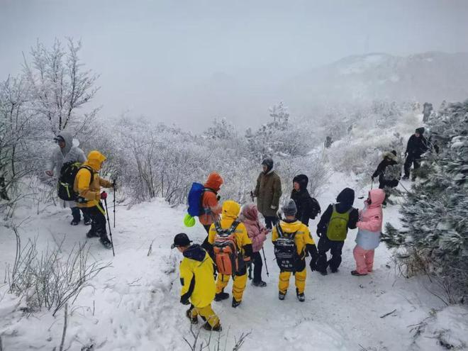 东北三月末的意外鹅毛大雪