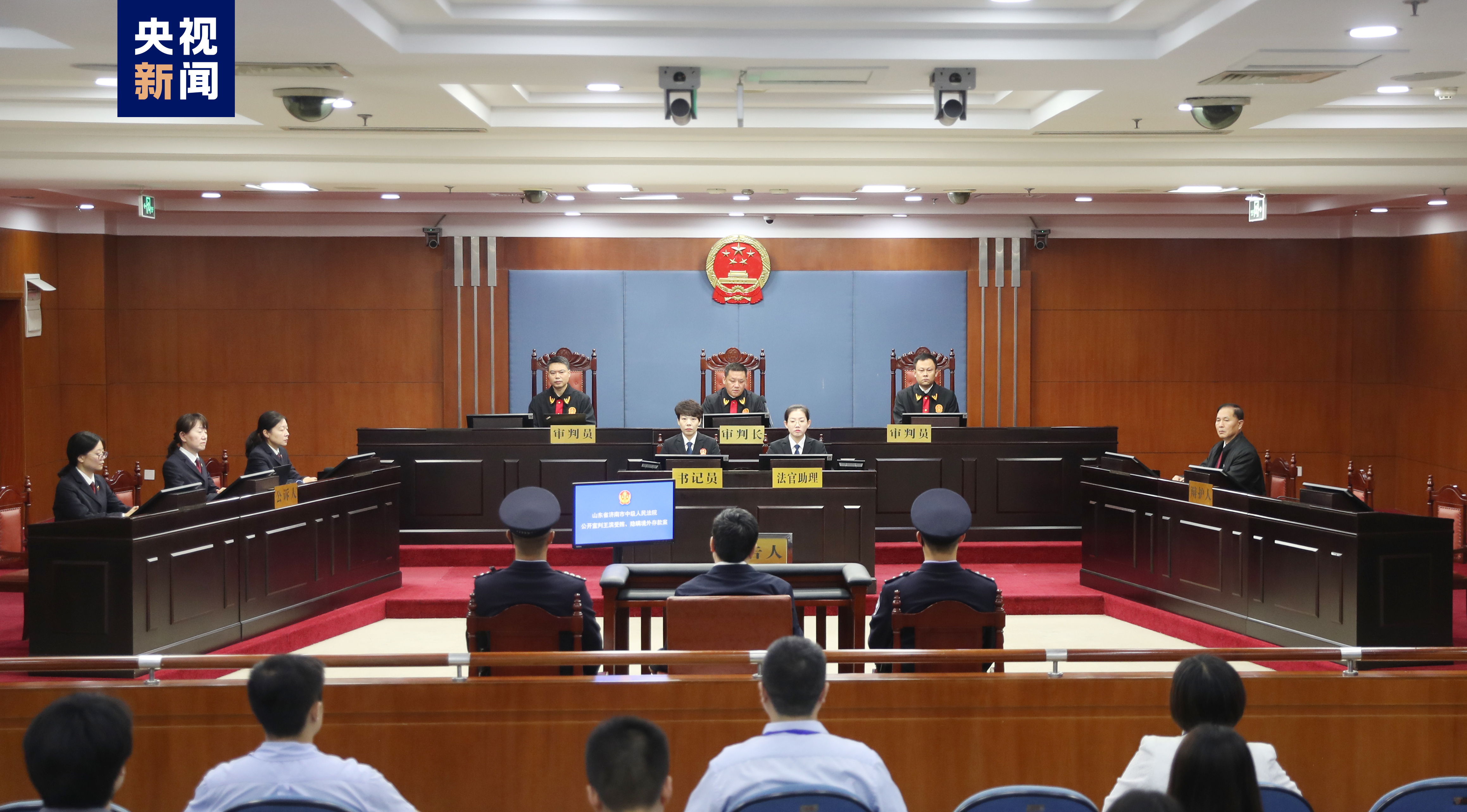 中国人寿原总裁被查，深度解读与反思