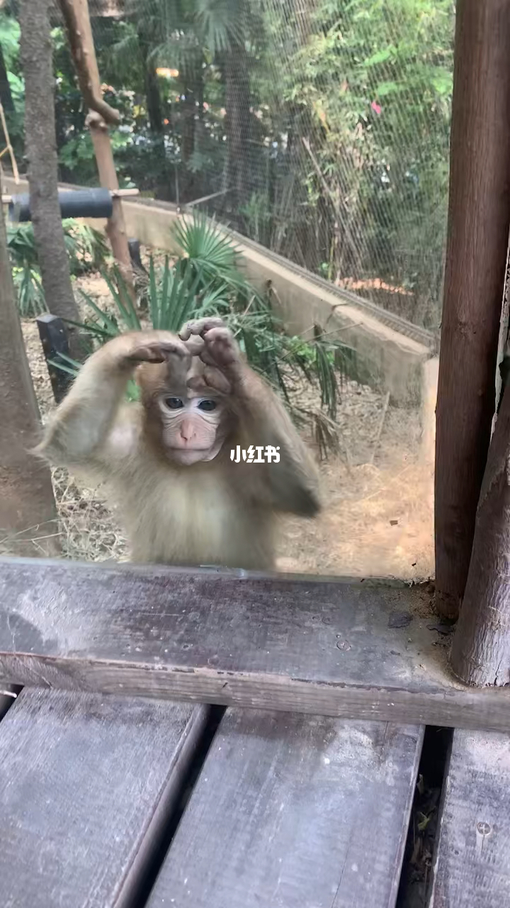 热点生活 第285页