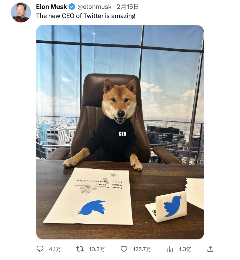 马斯克与Daddydoge，一场星辰大海的冒险之旅