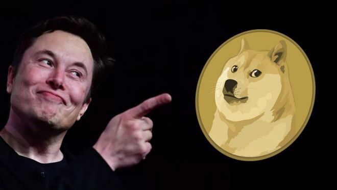 Dogecoin与马斯克，星界之宠的货币之旅