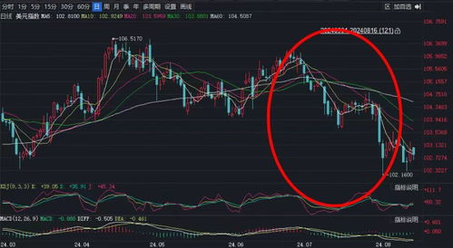 金价持续上涨的原因是什么