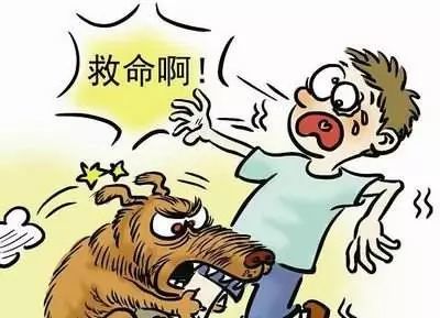 小区电梯内遭遇狗咬伤事件深度解析