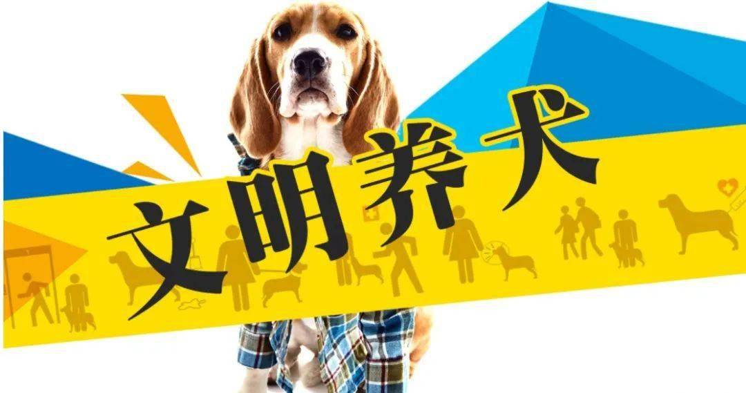 出租屋养狗警告，理解与规范共存的必要措施