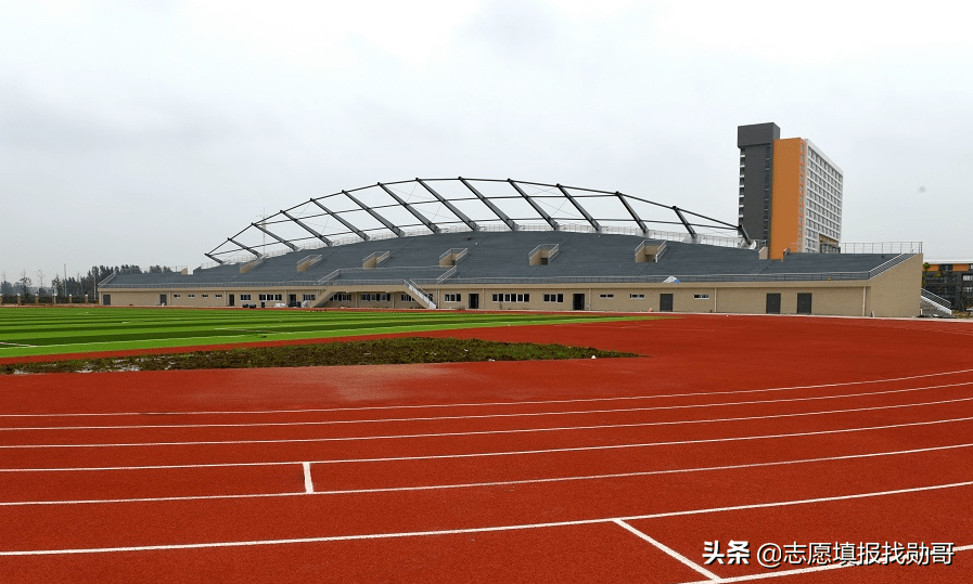 甲亢哥直播喊话，中国实力被严重低估