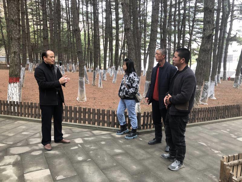 六旬母亲坚守清明，为车祸去世的儿孙扫墓，一份无尽的思念