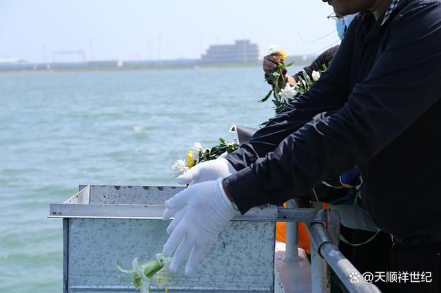 梦中的花瓣   第3页