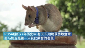 最新资讯 第266页