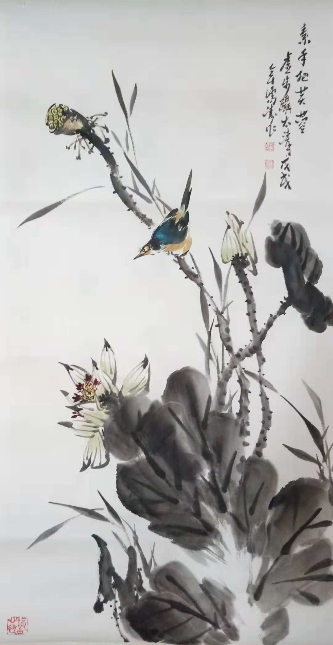 杨儒涛书画作品，艺术之美与独特魅力的展现