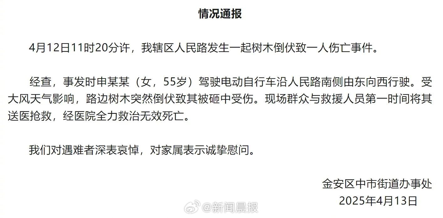 大风刮倒树木，骑车女子被砸身亡——悲剧背后的警示