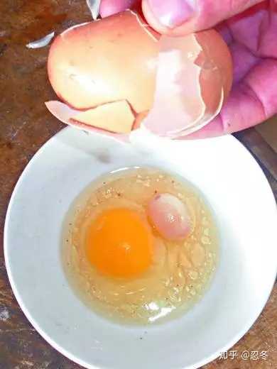 假鸡蛋背后的真相揭秘，假鸡蛋是真事吗？
