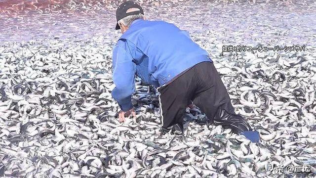 日本大地震概率升至80%，中使馆提醒，我们需要如何应对？