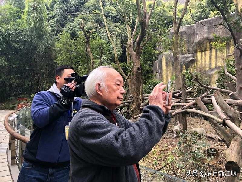 编辑部里的马大姐的故事