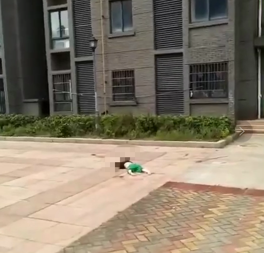 游戏专题 第229页
