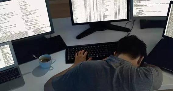 深圳程序员回应不租房睡车里，奋斗路上的独特选择
