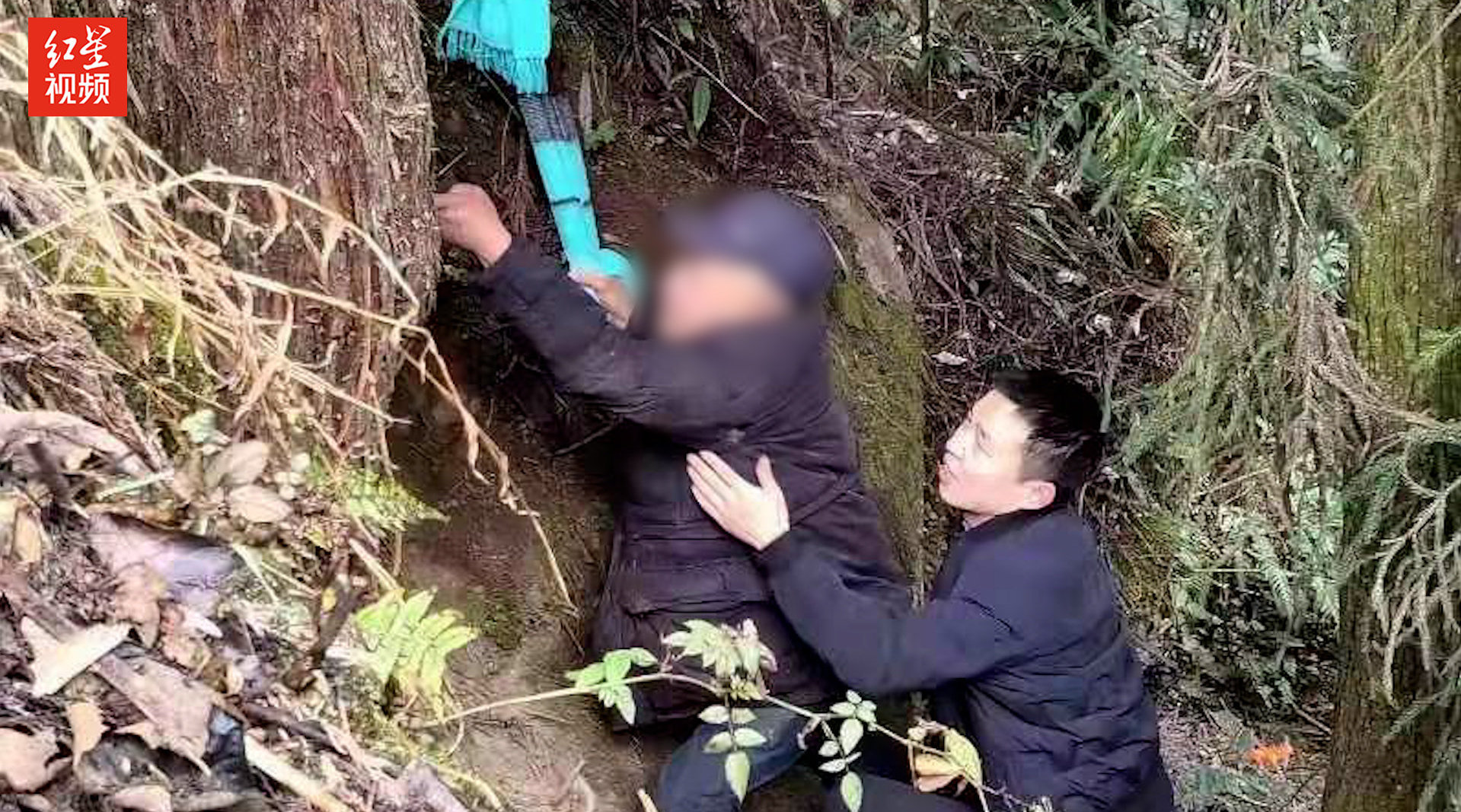 游客景区摘两颗枇杷引发索赔风波，400元的背后故事