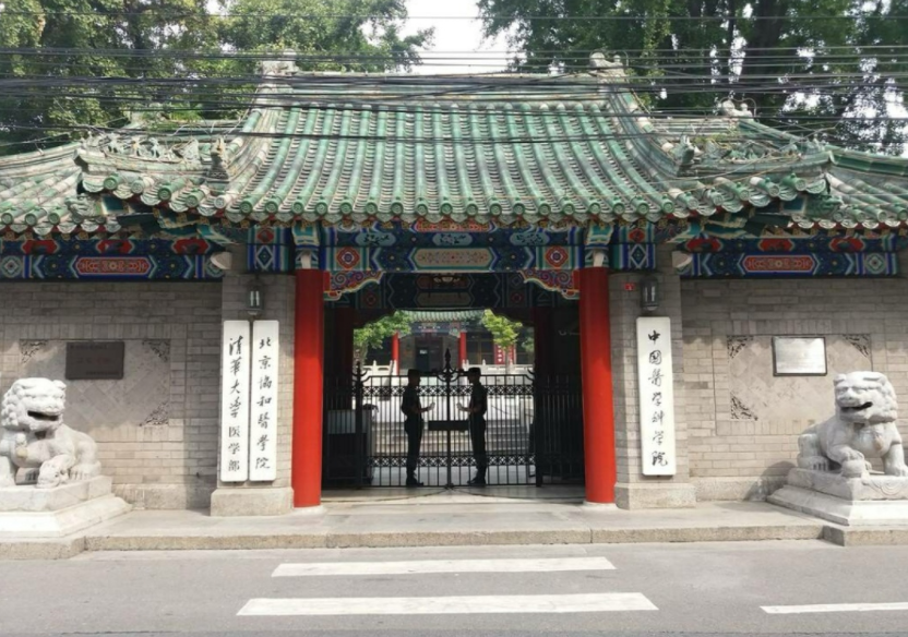 协和4+4项目，探索医学教育的未来之路
