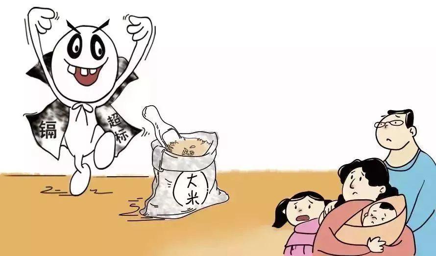 日本毒大米事件启示，食品安全与公众权益的反思