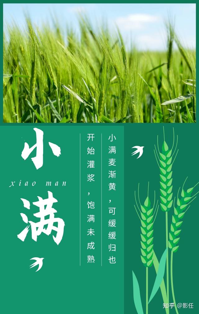 游戏专题 第13页