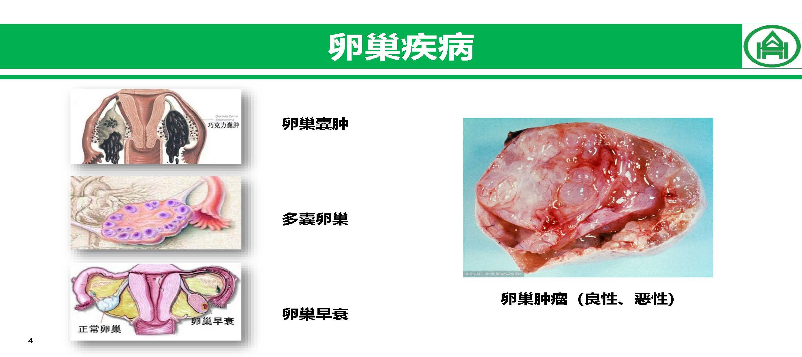 生命的坚韧与脆弱，一位抗癌博主的生命之旅