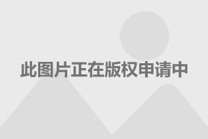 特朗普控枪方案特朗普的控枪方案，全面解析其背景、内容与争议