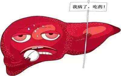 肝化纤维是什么？深度解读肝脏纤维化的真相